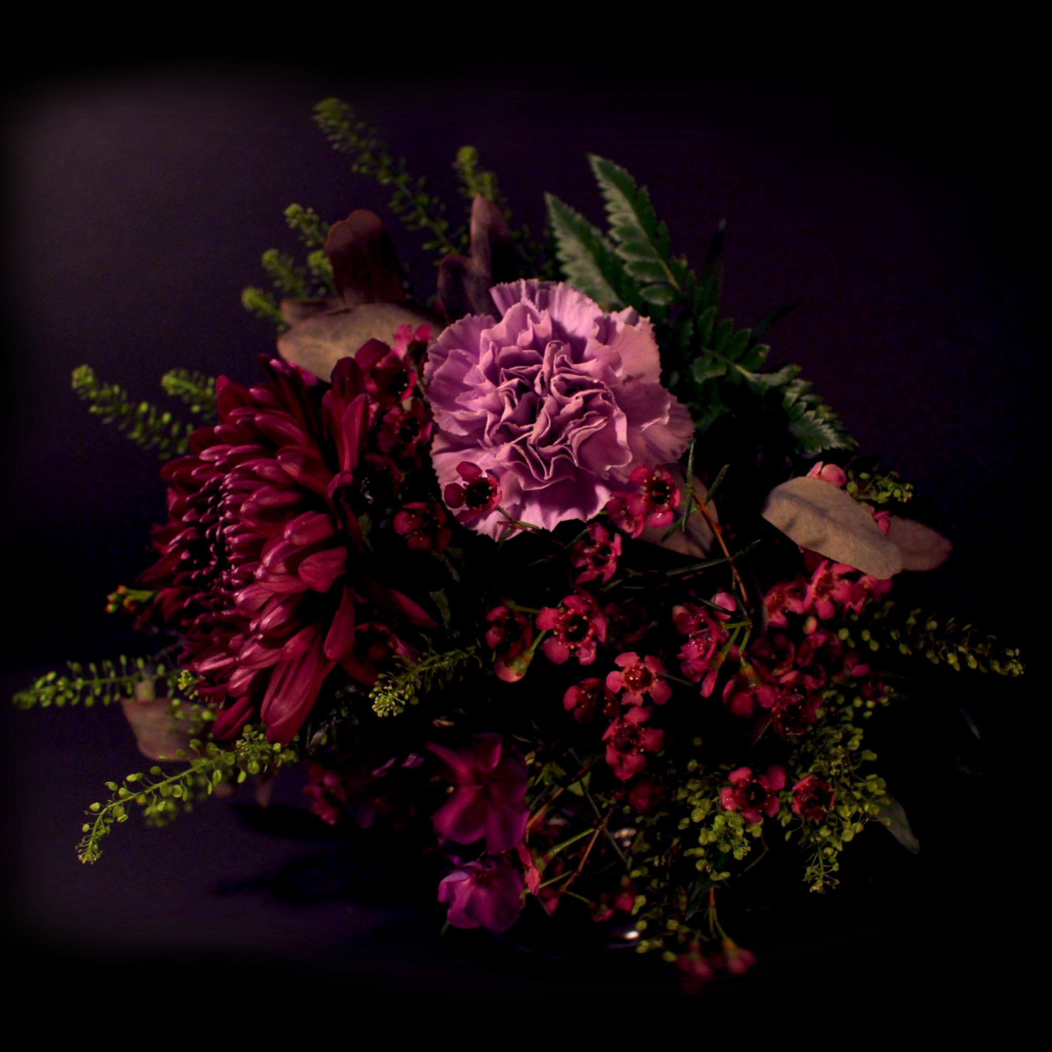 Purple Flowers Cover